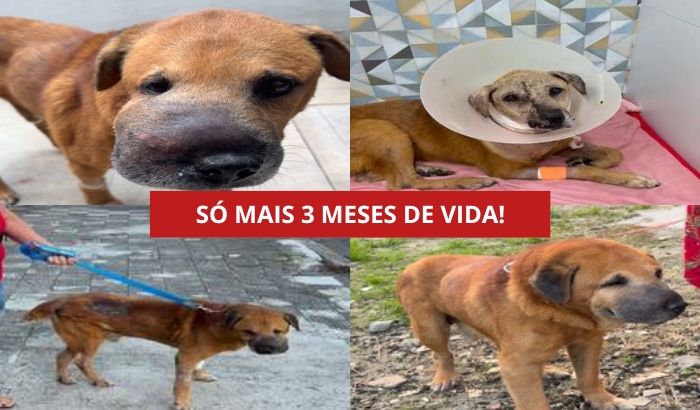 Aquiles em tratamento